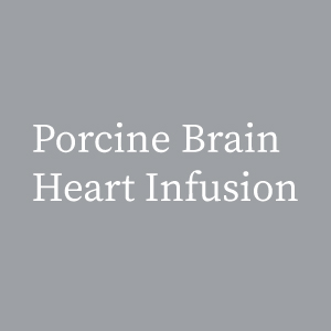 Porcine brain heart