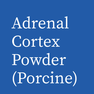 adrenal cortex
