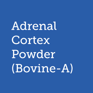 adrenal bovine